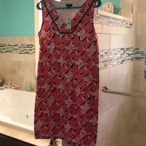 Talbots knit dress with navy trim